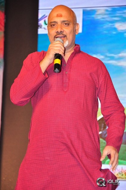 Kerintha-Movie-Platinum-Disc-Function